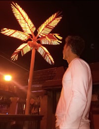 a man looking at a palm tree at night